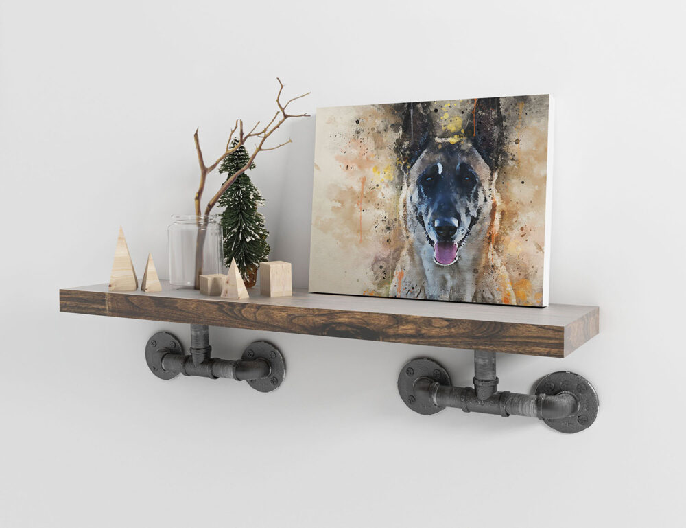 Grafisk portrett av en Malinois